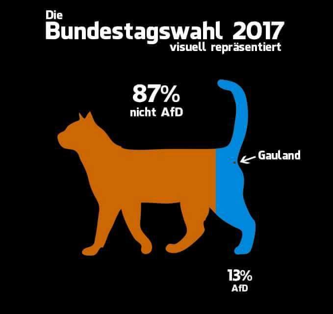Die Bundestagswahl 2017 visuell präsentiert.