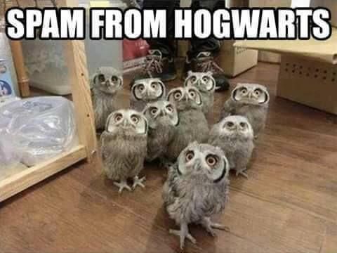 SPAM from Hogwarts