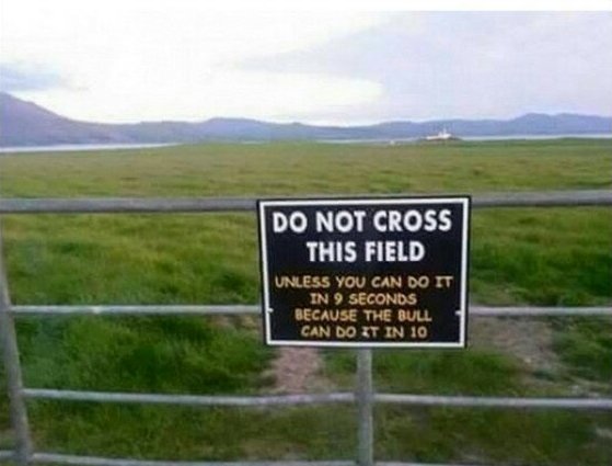 Do not cross this field!