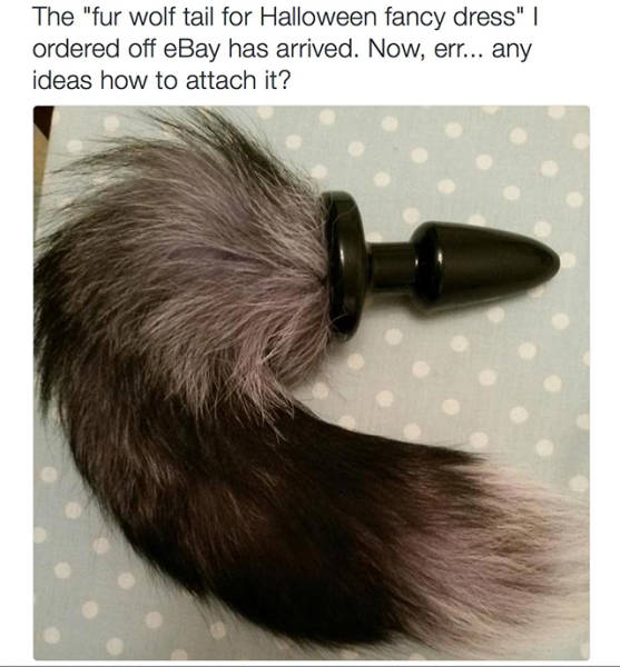 the wolf tail