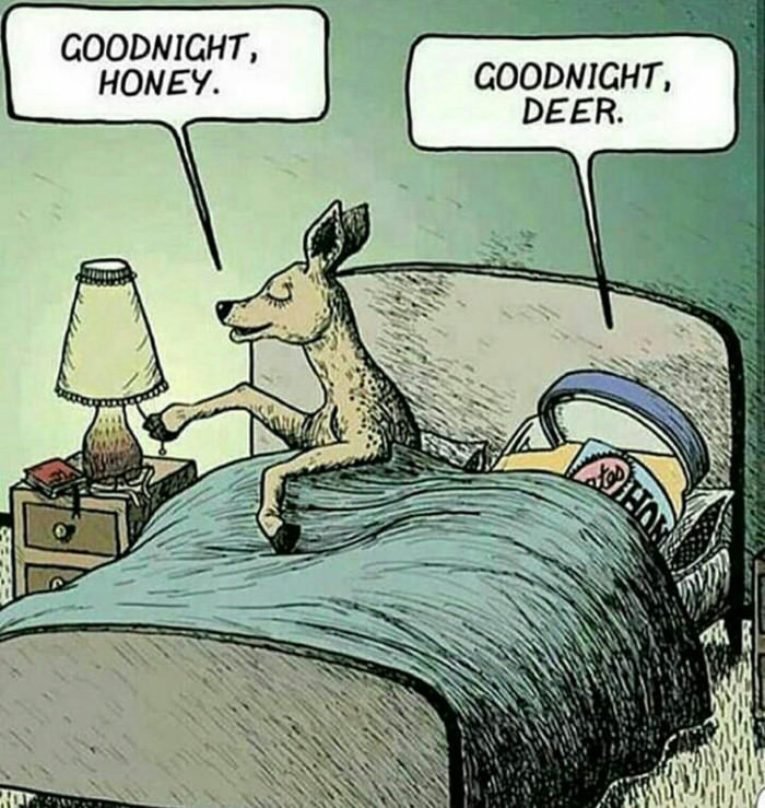 Goodnight Honey. Goodnight Deer.