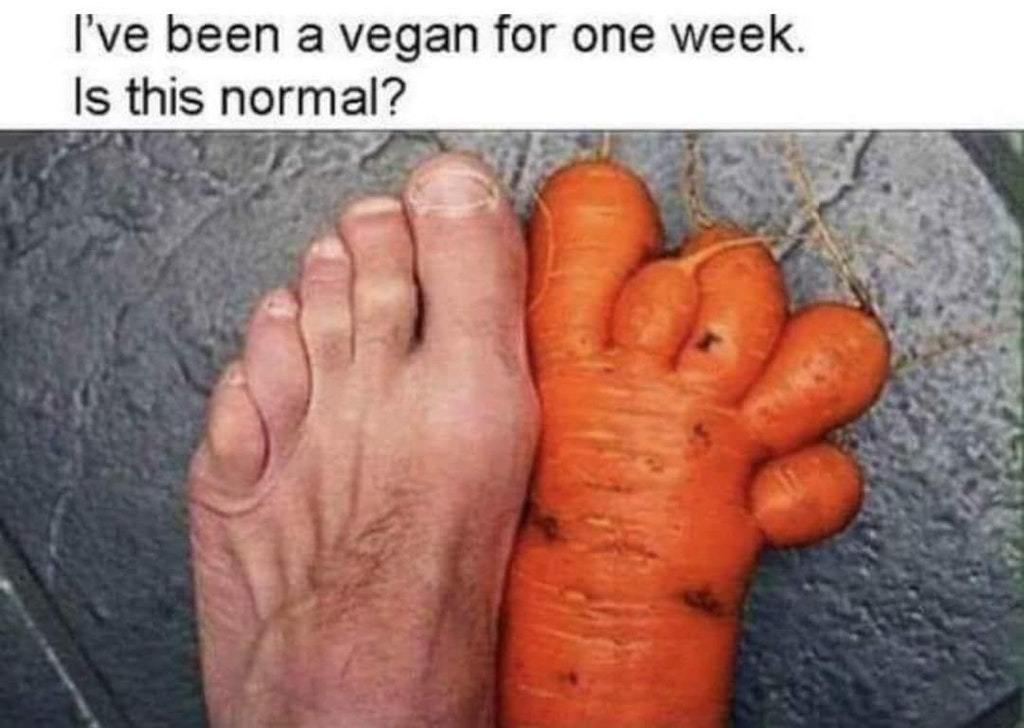 Veganer für eine Woche. Ist das normal?