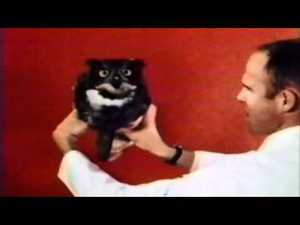 Rotate Your Owl - YouTube