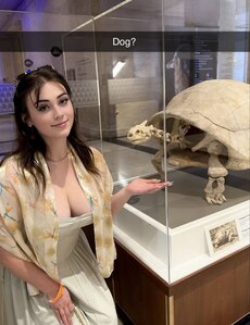 ist es ein hund?
