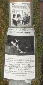 Katze macht Katzen-Sachen