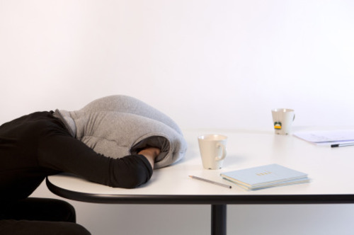 B&uuml;ro-Schlafsack Ostrich, mehr als nur ein Witz